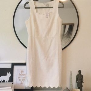 J Crew cotton dress